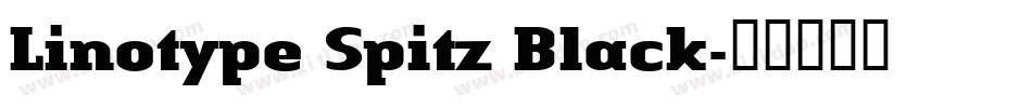 Linotype Spitz Black字体转换